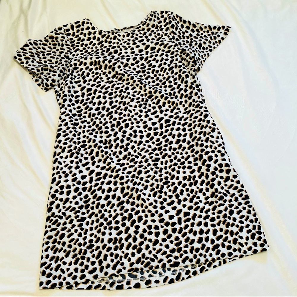 Ann Taylor Print Dress